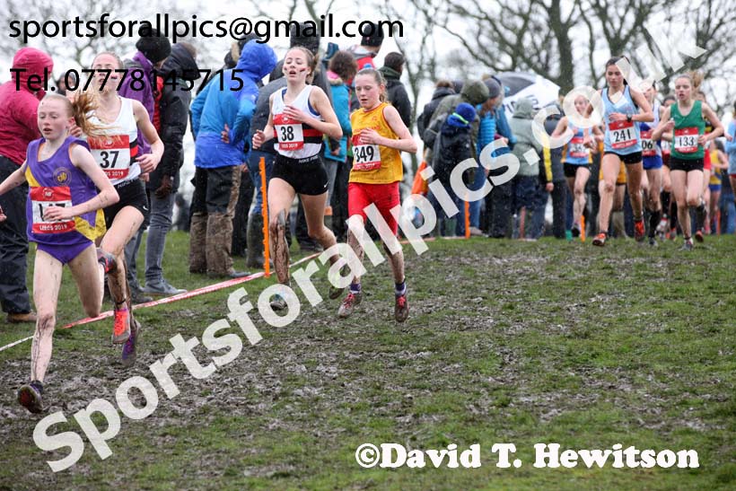 Junior girls 2019 New Balance English Schools Cross Country Champs, Temple Newsam, Leeds. Photo:  David T. Hewitson/Sports for All Pics